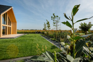 Usługi ogrodnicze Krobia - Rabata przy ogrodzeniu, z drzewami w nowoczesnej formie ekranowej.