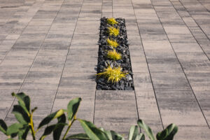 Usługi ogrodnicze Krobia - mała rabata w bruku, w podjeździe, nadająca rozświetlenie betonowym elementom.