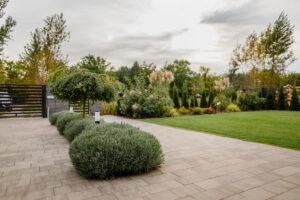 Usługi ogrodnicze Toruń - zadbany trawnik w otoczeniu rabat kwietnych z lawendą, różami i trawami.