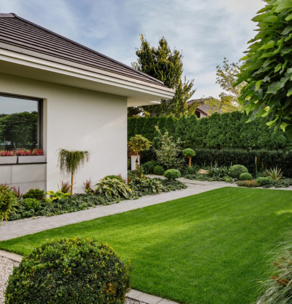 ogród przed domem, trawnik, rośliny