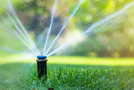 zraszacz automatycznego nawadniania